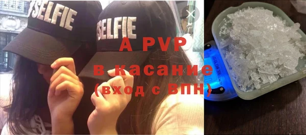 индика Алексин