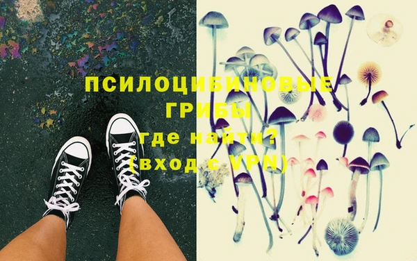 индика Алексин