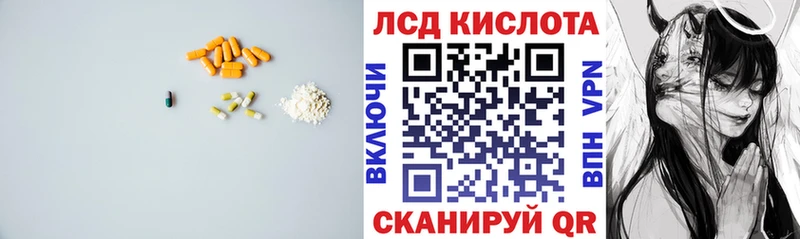 дарнет шоп  Новоалтайск  Лсд 25 экстази кислота 