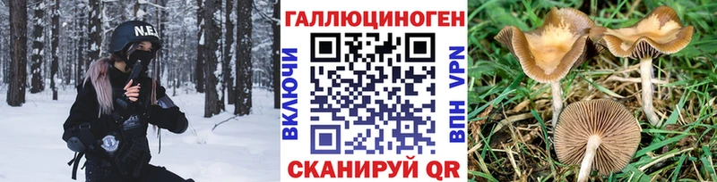 Галлюциногенные грибы MAGIC MUSHROOMS  Новоалтайск 